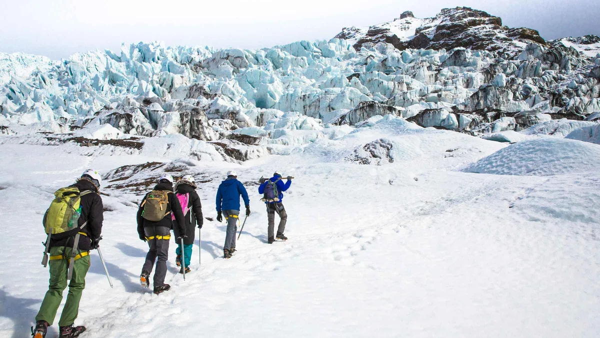 Beginner hikers in crampons crossing crevassed blue ice on a Vatnajökull glacier hike near the Skaftafell ice caves, Iceland